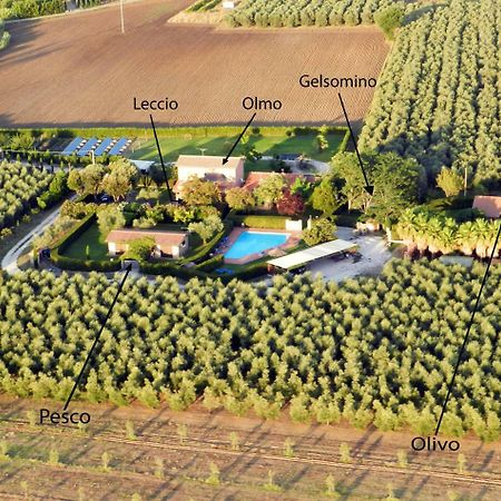 Podere Campi Al Mare Donoratico Eksteriør billede