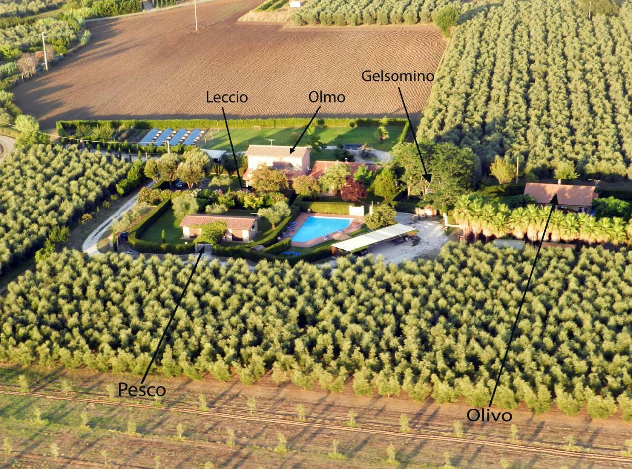 Podere Campi Al Mare Donoratico Eksteriør billede